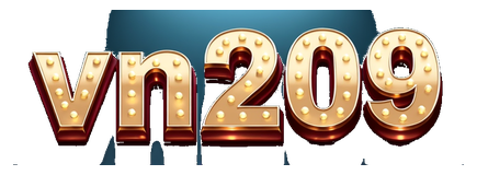 vn209 logo